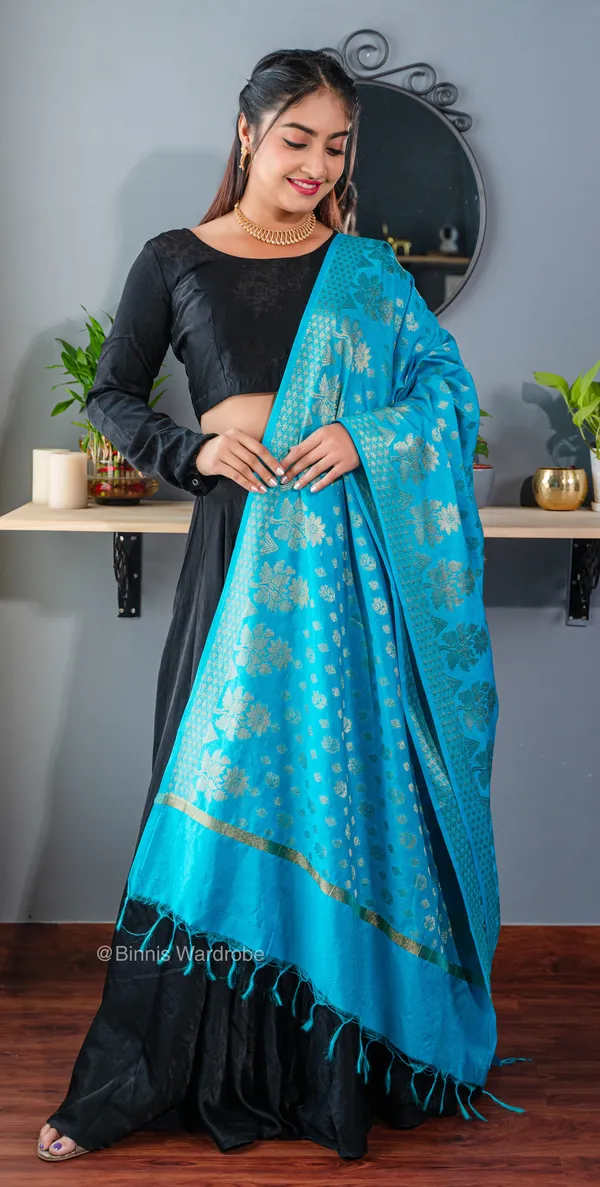 Pure_dupion_silk_Banarasi_handloom_sky_blue_dupatta