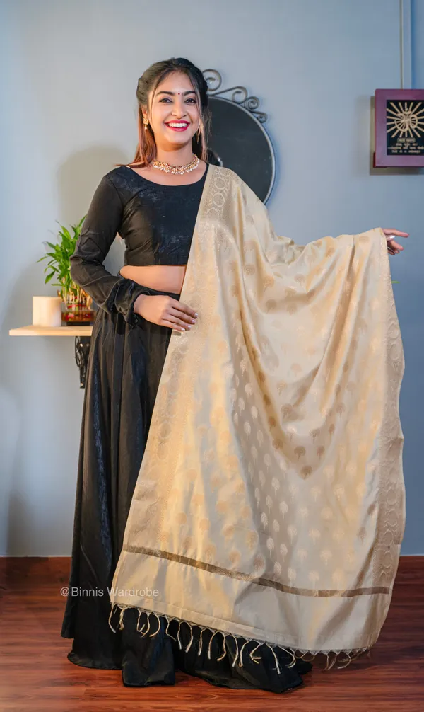 Dupion_Silk_handloom_banarsi_Beige_dupatta