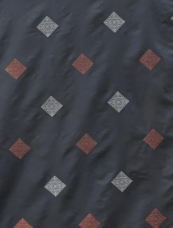 Embrocation_Grey_Soft_Silk_Saree_With_Ratatouille_Blouse_Piece