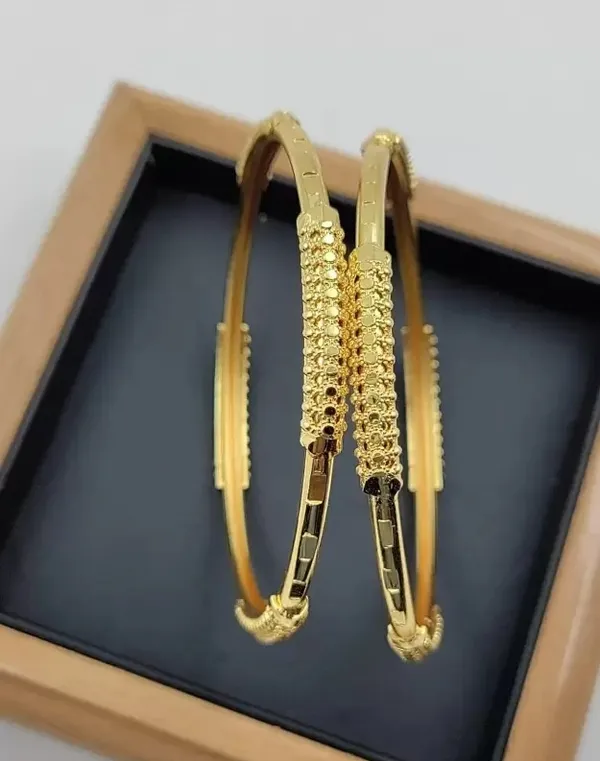 Everyday_Wear_Micro_Gold_Plated_Bangle(Set_Of_2)
