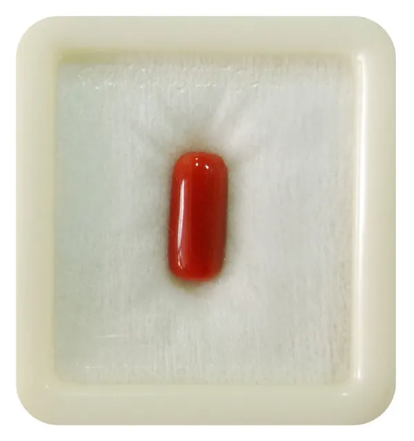 Moonga 5.25 ratti price deals