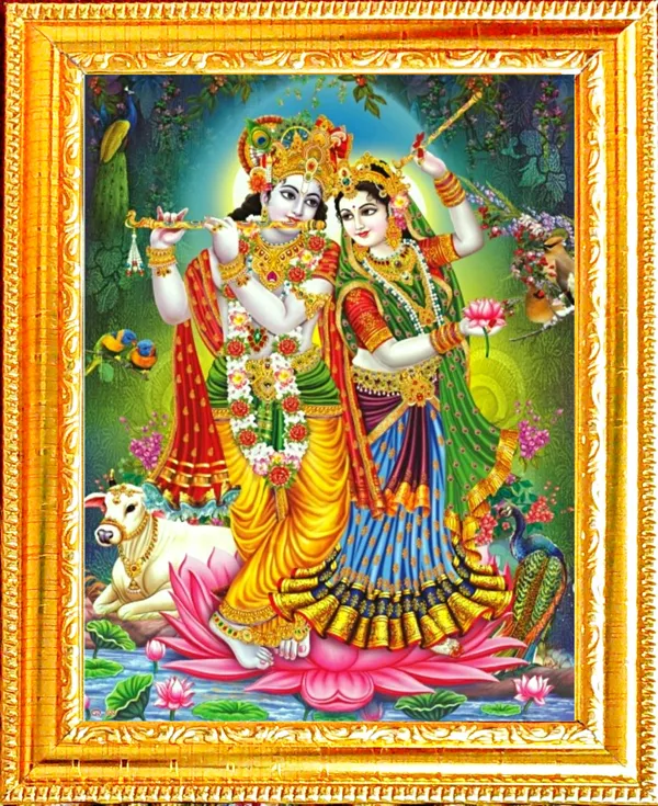 Photo_&_Frame_SUNINOW_Big_size_5D_Radha_Krishna___(12_x_16_inch_)