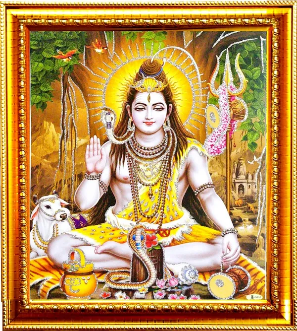 Photo_&_Frame_Shiv