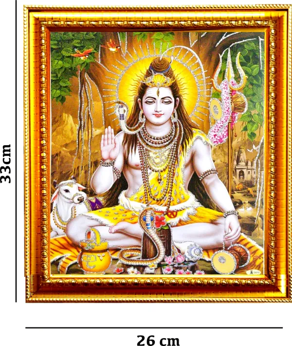 Photo_&_Frame_Shiv