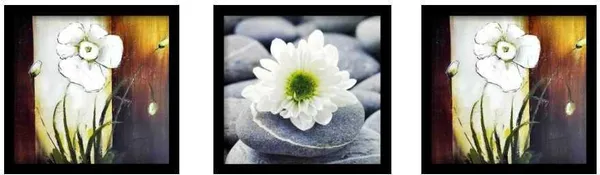 Photo_&_Frame_Flower_Painting_For_Wall_Decor_|_Wall_Painting_For_Living_Room_Digital_Reprint_13_Inch_X_13_Inch_Painting_(With_Frame,_Pack_Of_3)