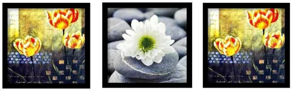 Photo_&_Frame_Flower_Painting_For_Wall_Decor_|_Wall_Painting_For_Living_Room_Digital_Reprint_13_Inch_X_13_Inch_Painting_(With_Frame,_Pack_Of_3)