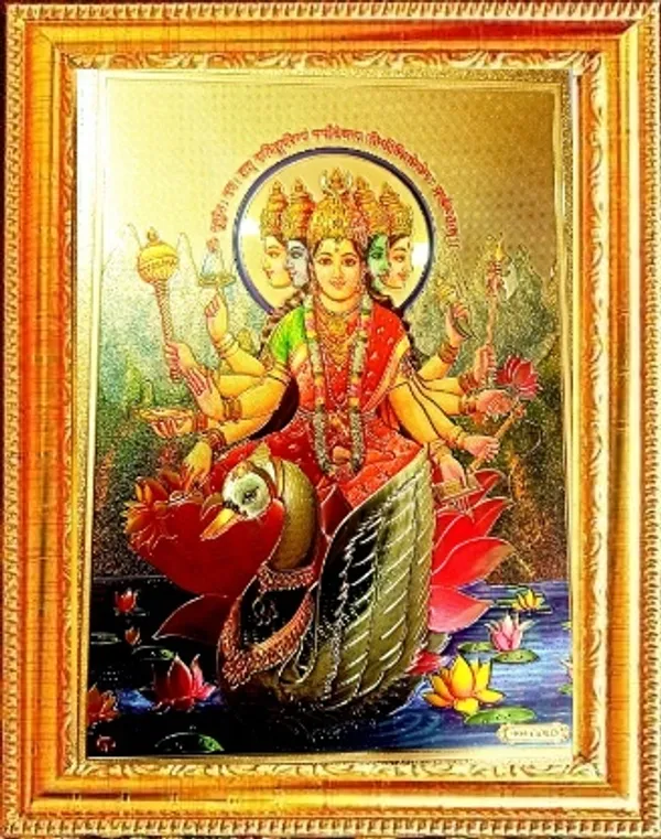 Photo_&_Frame_SUNINOW_gayatri_devi