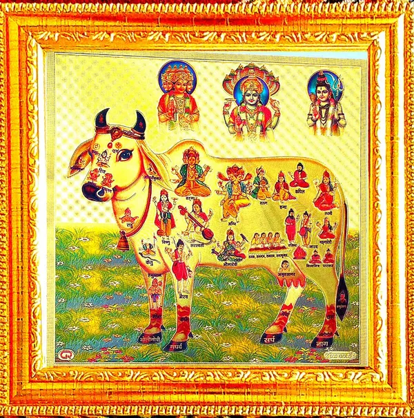 Photo_&_Frame_Kamdhenu_Cow_With_Brahma_Vishni_Mahesh/Siva_|_Gou_Mata
