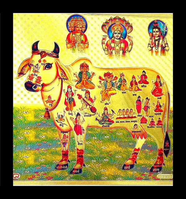 Photo_&_Frame_Kamdhenu_Cow_With_Brahma_Vishni_Mahesh/Siva_|_Gou_Mata