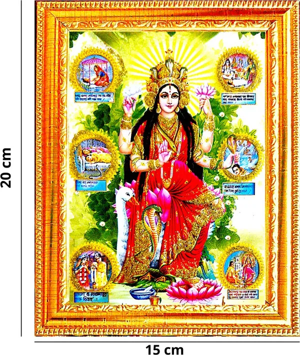 Photo_&_Frame_Manasa_Devi_|_Nag_Devi_|_Goddess_Of_Snakes_|_Hindu_Goddess