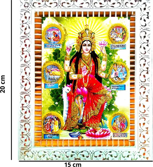 Photo_&_Frame_Manasa_Devi_|_Nag_Devi_|_Goddess_Of_Snakes_|_Hindu_Goddess