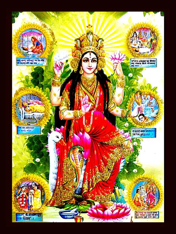 Photo_&_Frame_Manasa_Devi_|_Nag_Devi_|_Goddess_Of_Snakes_|_Hindu_Goddess