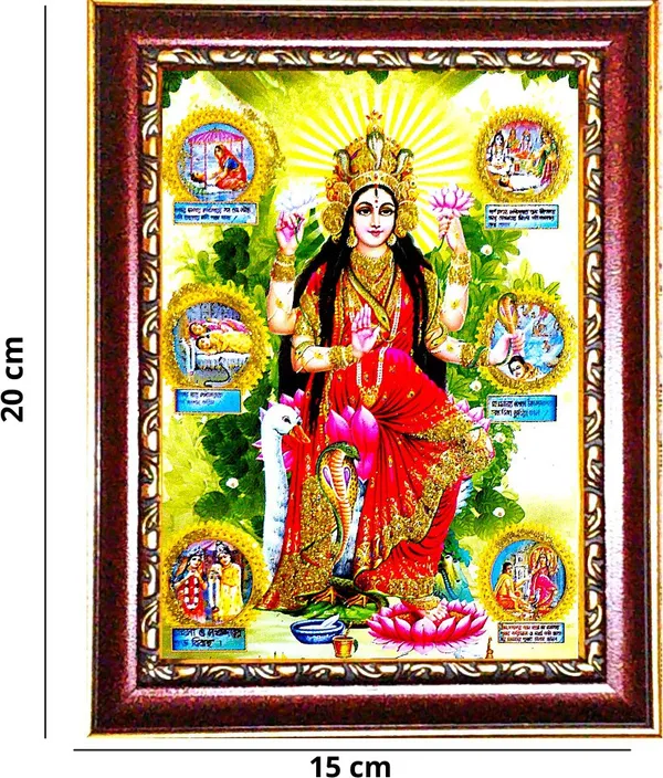 Photo_&_Frame_Manasa_Devi_|_Nag_Devi_|_Goddess_Of_Snakes_|_Hindu_Goddess