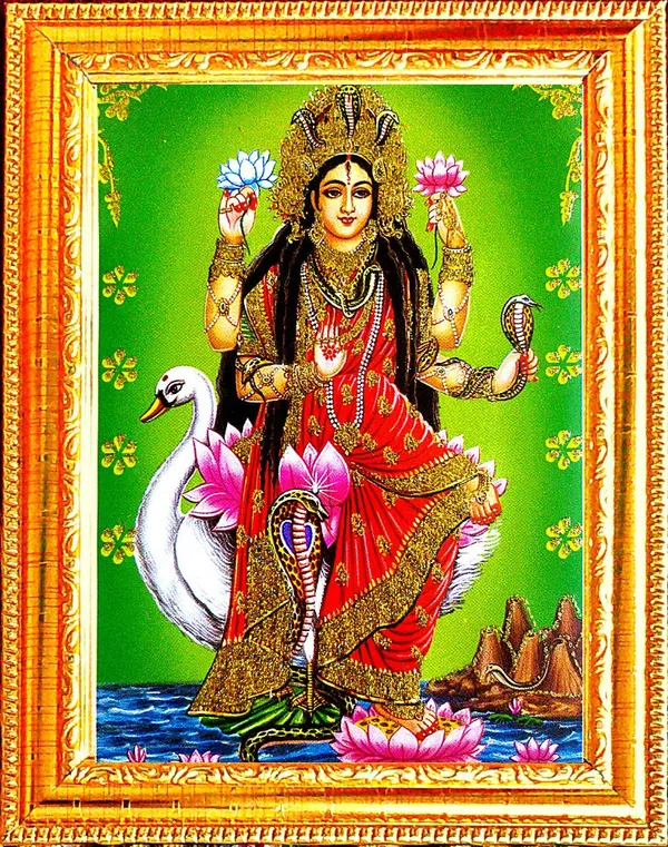 Photo_&_Frame_Manasa_Devi_|_Nag_Devi_|_Goddess_Of_Snakes_|_Hindu_Goddess