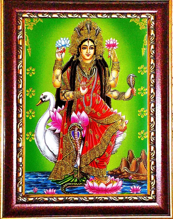 Photo_&_Frame_Manasa_Devi_|_Nag_Devi_|_Goddess_Of_Snakes_|_Hindu_Goddess