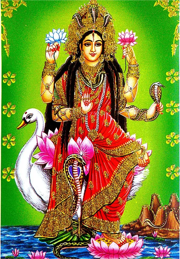 Photo_&_Frame_Manasa_Devi_|_Nag_Devi_|_Goddess_Of_Snakes_|_Hindu_Goddess
