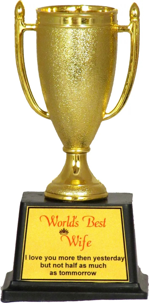 Worlds_Best_Wife_Trophy_For_Birthday_Anniversary_Gift_(6_Inch_)_Trophy_(6_Inch)
