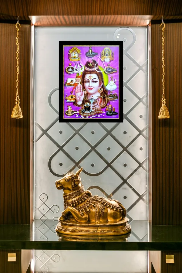 Photo_&_Frame_Shiv