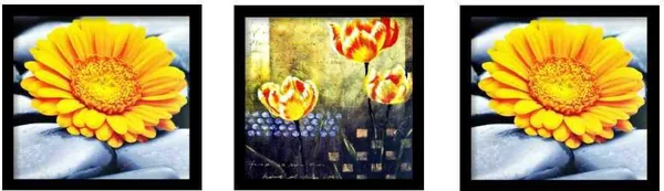 Photo_&_Frame_Yellow_Flower_Painting_For_Wall_Decor_|_Wall_Painting_For_Living_Room_Digital_Reprint_13_Inch_X_13_Inch_Painting_(With_Frame,_Pack_Of_3)