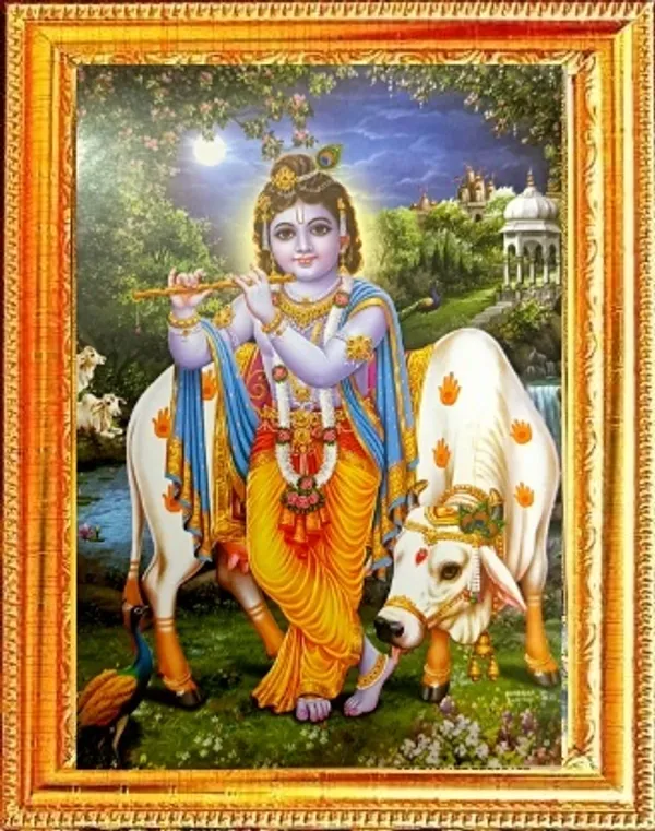 Photo_&_Frame_SUNINOW_Bal_gopal___(_20_X_15_CM_)