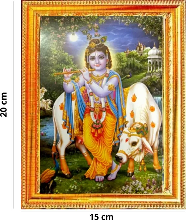 Photo_&_Frame_SUNINOW_Bal_gopal___(_20_X_15_CM_)