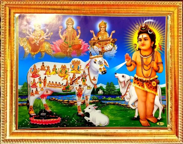 SUNINOW_Shiv_ji_with_kamdhenu_cow_photo_frame_(_29_x_23_cm_)_Religious_Frame_()
