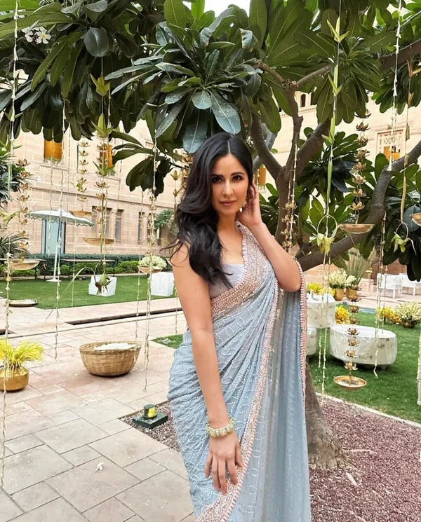 Blue_Heavy_Net_Sequence_Embroidery_Saree