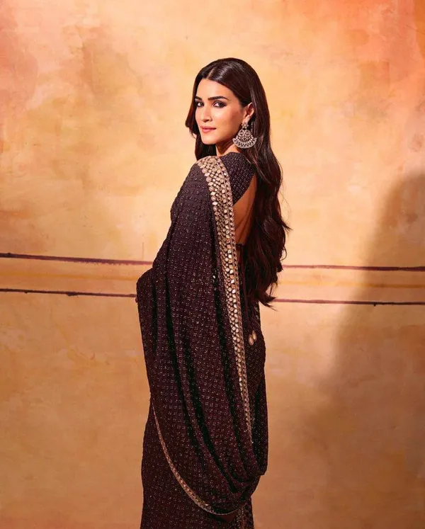 Chocolate_Brown_Hand_Embroidered_Saree_Set