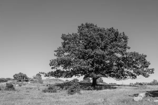 test_6