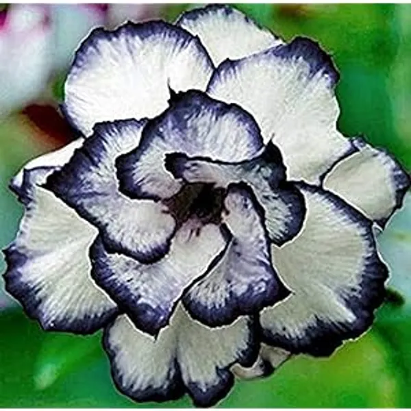testmoreTEST1104