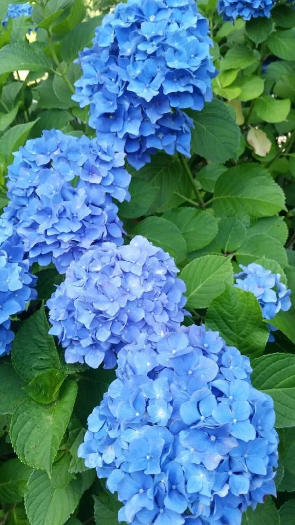 testmoreTEST1129