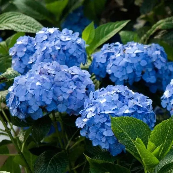 testmoreTEST1129