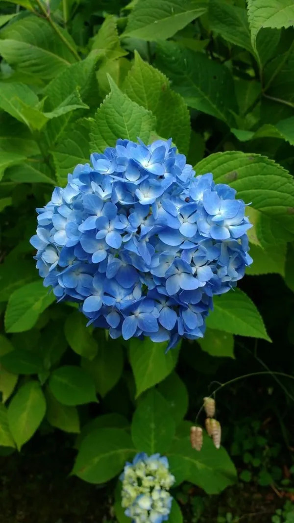 testmoreTEST1129