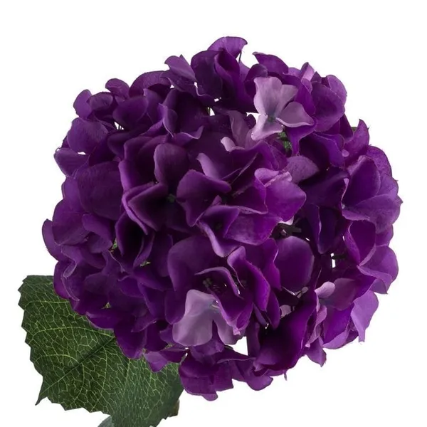 testmoreTEST1130