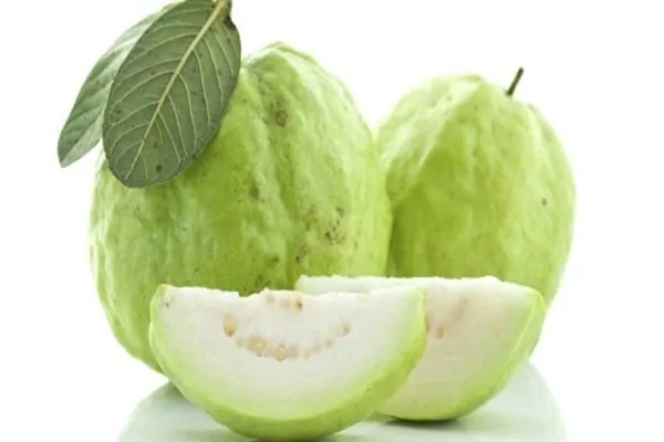 testmoreTEST1474