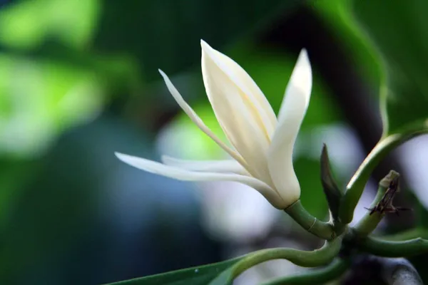 testmoreTEST895
