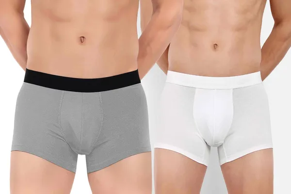 Combo_of_2_Men_Boxer_Trunk_-_Cotton_-Good_ventilation_and_moisture_management_features_to_keep_the_wearer_cool_Anti_Bacterial,_Colour_Fresh,_Moisture_Wicking_Elastane_Stretch_Pack_of_2_-_Grey-White