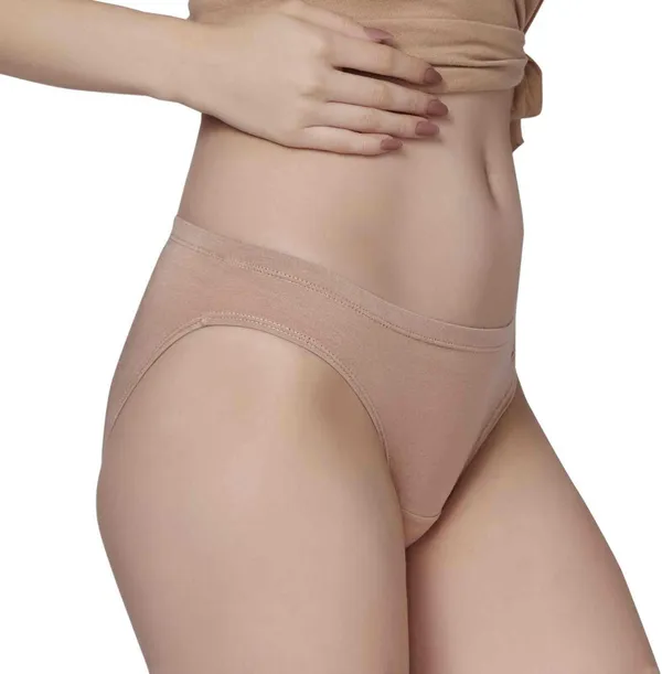 Combo_of_2_Women_Bikini_Pink,_Beige_Panty