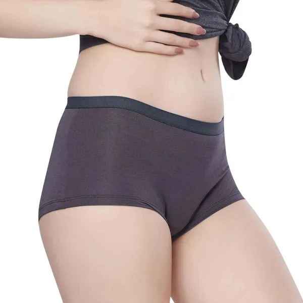 Women_Hipster_Grey_Panty
