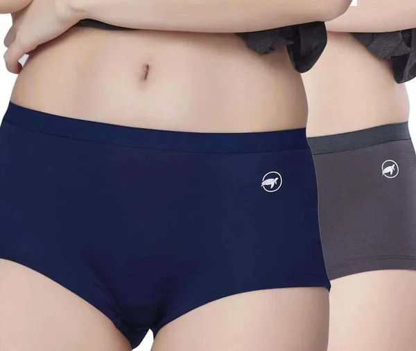 Combo_of_2_Women_Hipster_Light_Blue,_Grey_Panty