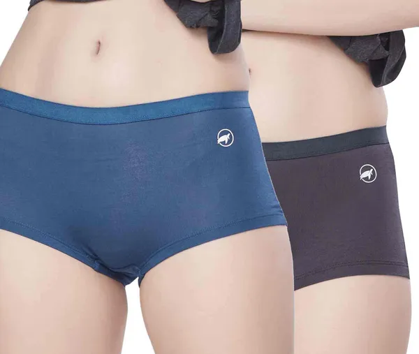 Combo_of_2_Women_Hipster_Blue,_Grey_Panty