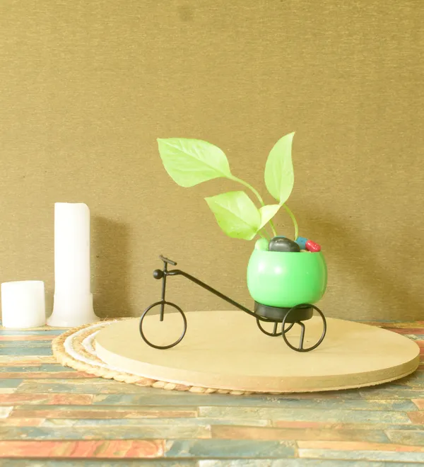 Small_Black_Cycle_With_Green_Planters