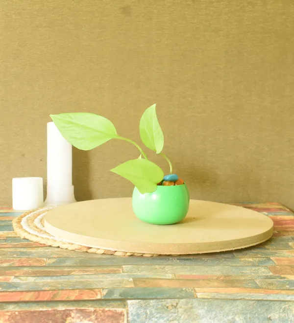 Small_Black_Cycle_With_Green_Planters