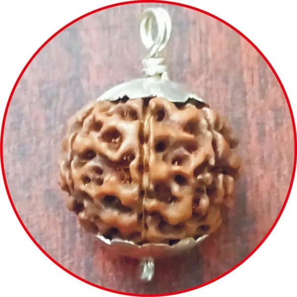 S9110-07-N-02_–_Nepal_Saptha_Mukhi_Rudraksha_Chaandhi_Kavach_Yedu_Mukhala_Rudhraksha_Vendi_Locket_Yelu_Mugam_Rutratcham_Velli_Locket_Seven_Face_Rudraksh_Silver_Pendant