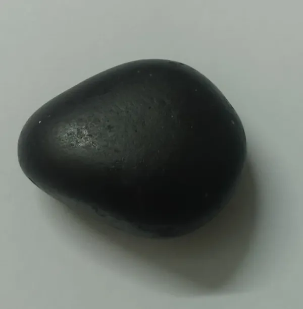Vishnu_Shaligram_Shila_from_Nepal_Gandhaki_Nadhi_100%_Original_Natural_Sacred_Salagram_Shalagram_1inch_16grams