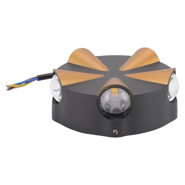 LED_Indoor_-_Outdoor_UP_-Down_Creative_Wall_Light,_Black_&_Gold,_Warm_White,_Rainproof_&_Shockproof_Body._(BlackGold_Round_5_Way)