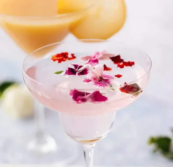 Large_Katori_Martini_Glasses_Set_-_135ml