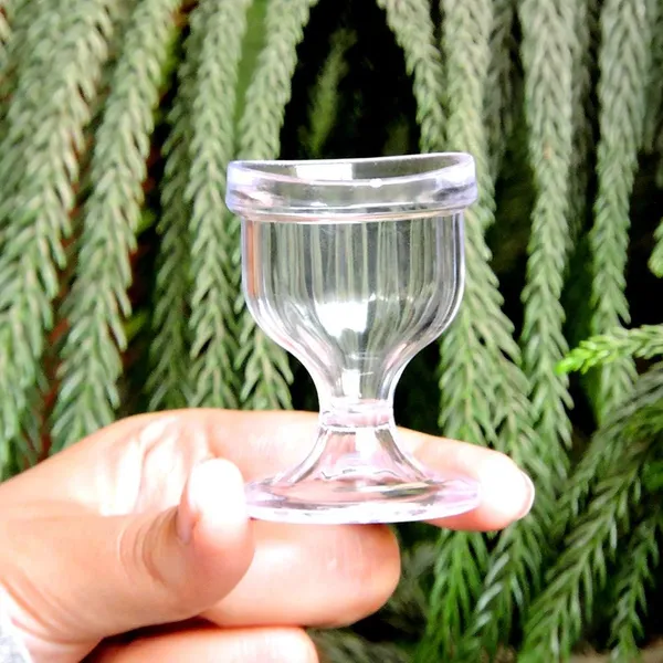 AEC_Eyekool_Eye_Wash_Cup_Set_of_2_-_Clear_-_Made_In_India