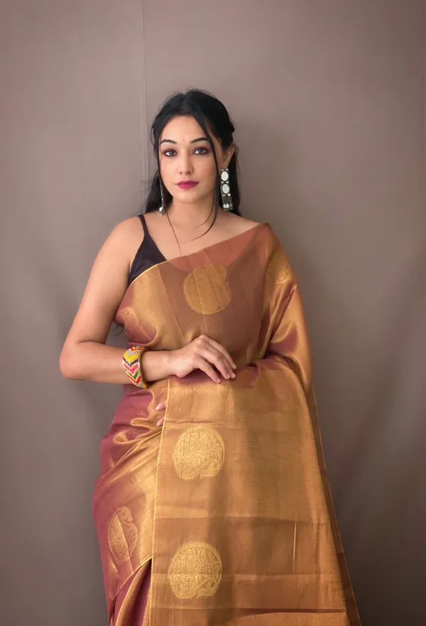 Beige_Banarasi_Tissue_Silk_Saree