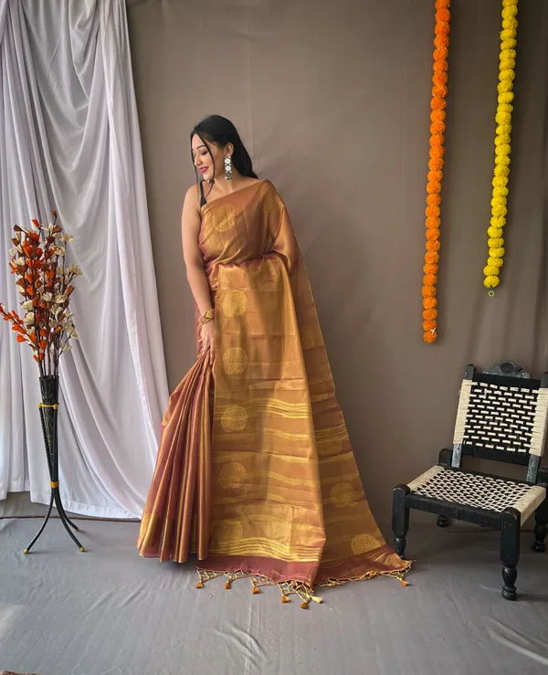 Beige_Banarasi_Tissue_Silk_Saree
